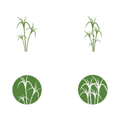 Sugar cane Logo Template vector symbol