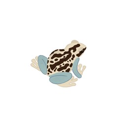 Colorful frog illustration on a white background