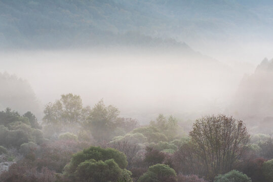 Beautiful misty morning dream valley mountain autumn fogy and clouds.