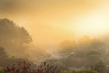 Beautiful misty morning dream valley mountain autumn fogy and clouds.