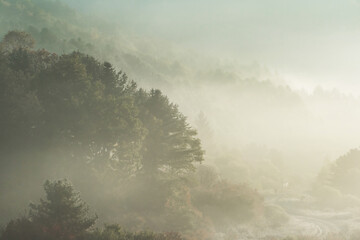 Beautiful misty morning dream valley mountain autumn fogy and clouds.