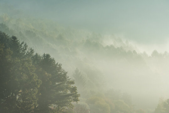 Beautiful misty morning dream valley mountain autumn fogy and clouds.