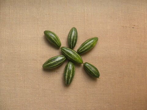 Green color raw whole fresh Pointed gourds