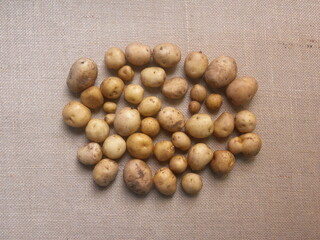 Brown color raw whole fresh baby potatoes