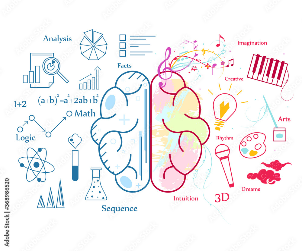 Wall mural Human Brain Concept Contour Linear Style. Vector