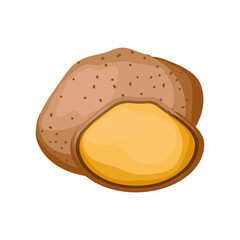 potato fresh on white background