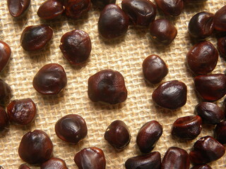Reddish brown color raw whole dried Tamarind seed