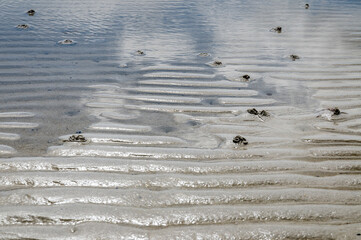 Sandy mudflat of a Baltic Sea at a low tide. Großenbrode, Schleswig-Holstein, Germany