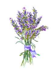 Lavender flowers bouquet. Watercolor floral botanical illustration