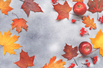 Naklejka na ściany i meble Autumn Background with leaves on a dark grey concrete background.