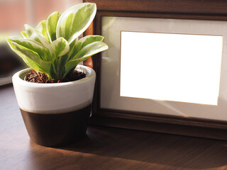 Brown wooden photo frame and small tree plant in a ceramic pot with sunlight on the table...