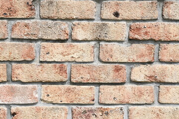 レンガの壁
