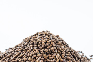Cassia seed tea on white background
