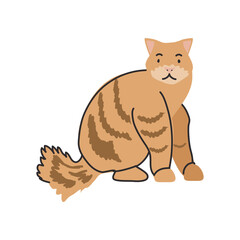 cute domestic cat on white background