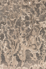 concrete texture closeup
