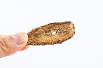 Chinese herbal medicine burdock root slices on white background