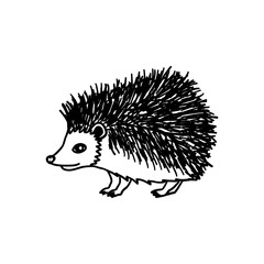 Hedgehog vector illustration. Line drawing of cute forest animal