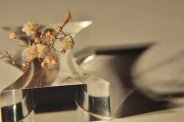 硝子とカスミソウ