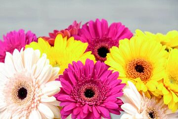 Bouquet of colored gerberas on a white brick background.