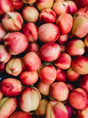 Juicy ripe Nectarines (Prunus persica) lie on top of each other in a heap in natural light.