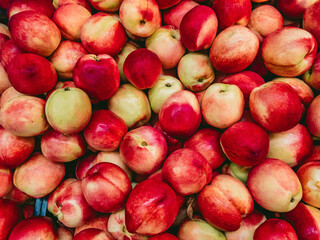 Juicy ripe bright Nectarines (Latin Prunus persica) lie on top of each other in a heap in natural light.