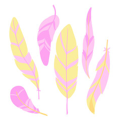 six decorative pink bird feathers