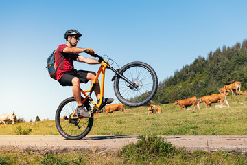 Obraz premium man doing a wheelie on a mountain bike