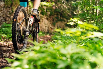 Fototapeta na wymiar wheels of a mountain bike riding on a forest road