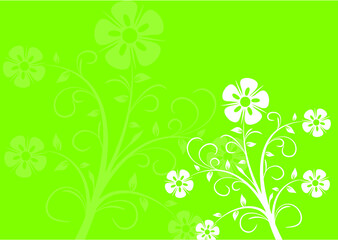 green floral background