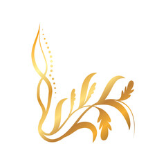 golden floral ornament on white background