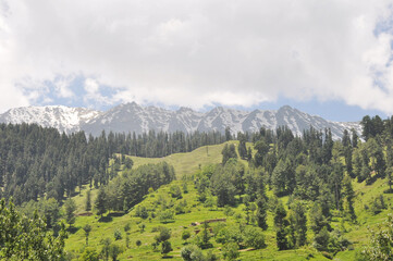 Fototapeta na wymiar Kashmir Valley, Beautiful view 