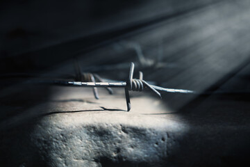 Freedom concept. An ancient barbed wire.