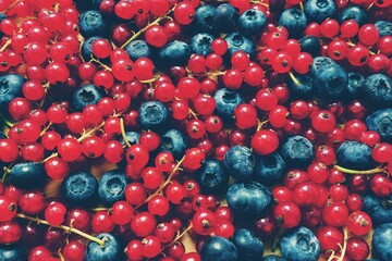 Appetizing fresh red currant and blueberry berries