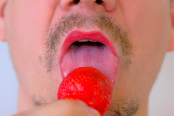 Bearded man with moustache and lipstick on lips is eating red strawberry on white background, mouth closeup, front view. Vitamins from fresh strawberry. He licks a berry his tongue before eating it.