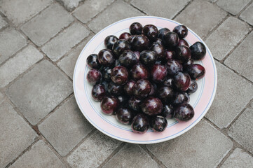 A lot of blue, purple cherry plums, plums are collected on a white plate on the tile. Large harvest of fruits from the tree, top view.