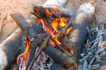Burning bonfire in forest camping with woods and burning birch in fire, closeup view. Fireplace on nature in sand from natural eco materials. Smoke from burning branches. Beautiful orange flames.