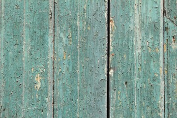 Green wooden background