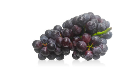 A bunch of fresh black grapes on a white background,fruit,copy space