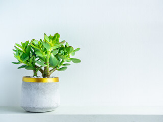 Geometric concrete planter. Cement pot.