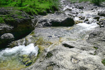rapids in a creek