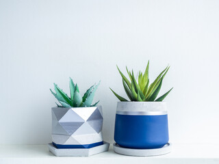 Geometric concrete planter. Cement pot.