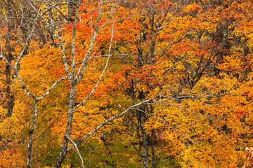 長野と山梨に跨がる八ヶ岳、秋の風景・日本