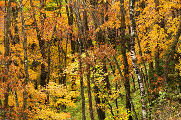 長野と山梨に跨がる八ヶ岳、秋の風景・日本