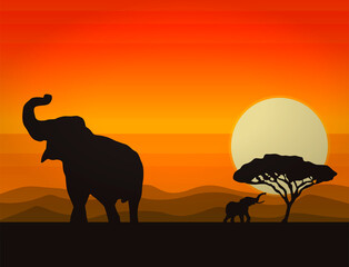Elephant landscape vector illustration. Sunset and tree silhouette with elephant.