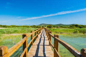 Fototapeta premium Wooden path in nature park Vrana lake (Vransko jezero), Dalmatia, Croatia, beautiful tourist destination