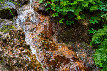 Closeup of a small natural stream between rocks in a public park.