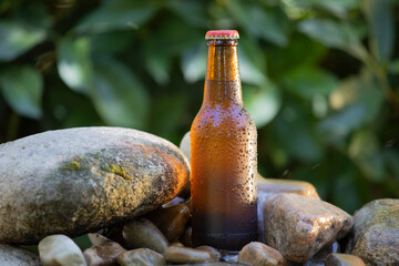 Botella de cerveza fresca.