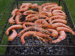 Langoustines and large prawns are grilled on a barbecue grill, on a brazier with charcoal. Picnic with healthy crustacean seafood in the summer garden.