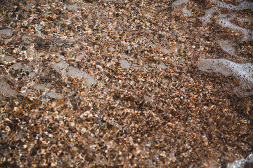 seashell beach clear water in the sea seashell beach