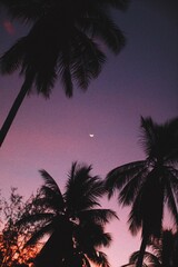 Fototapeta na wymiar Moon on the sunset